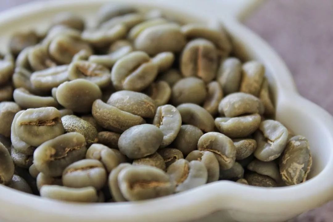咖啡中的绿原酸是什么？